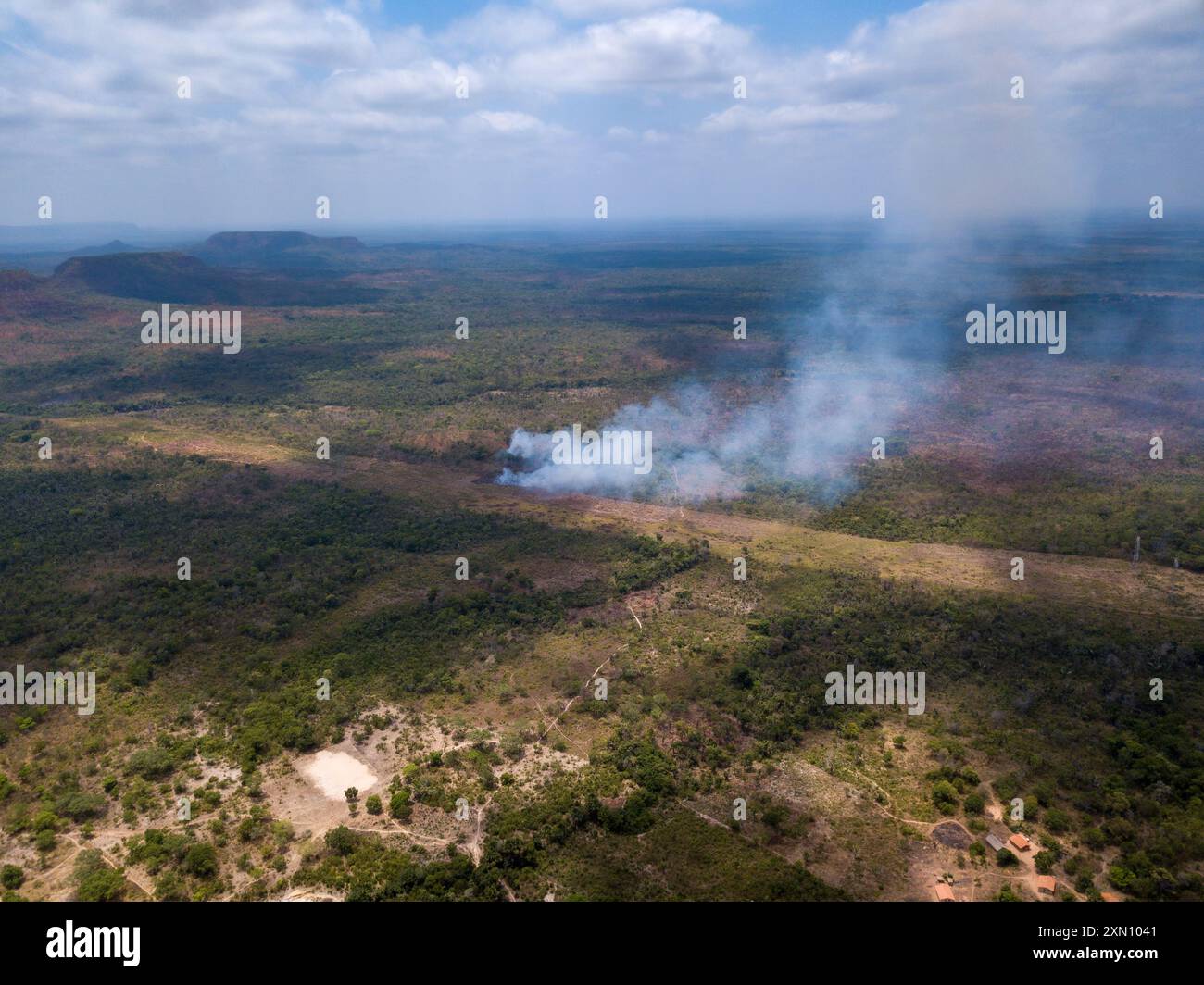 Vista aerea del fuoco della deforestazione illegale della foresta pluviale amazzonica per aprire terreni per bestiame, soia e agricoltura. Ambiente, ecologia, cambiamento climatico. Foto Stock