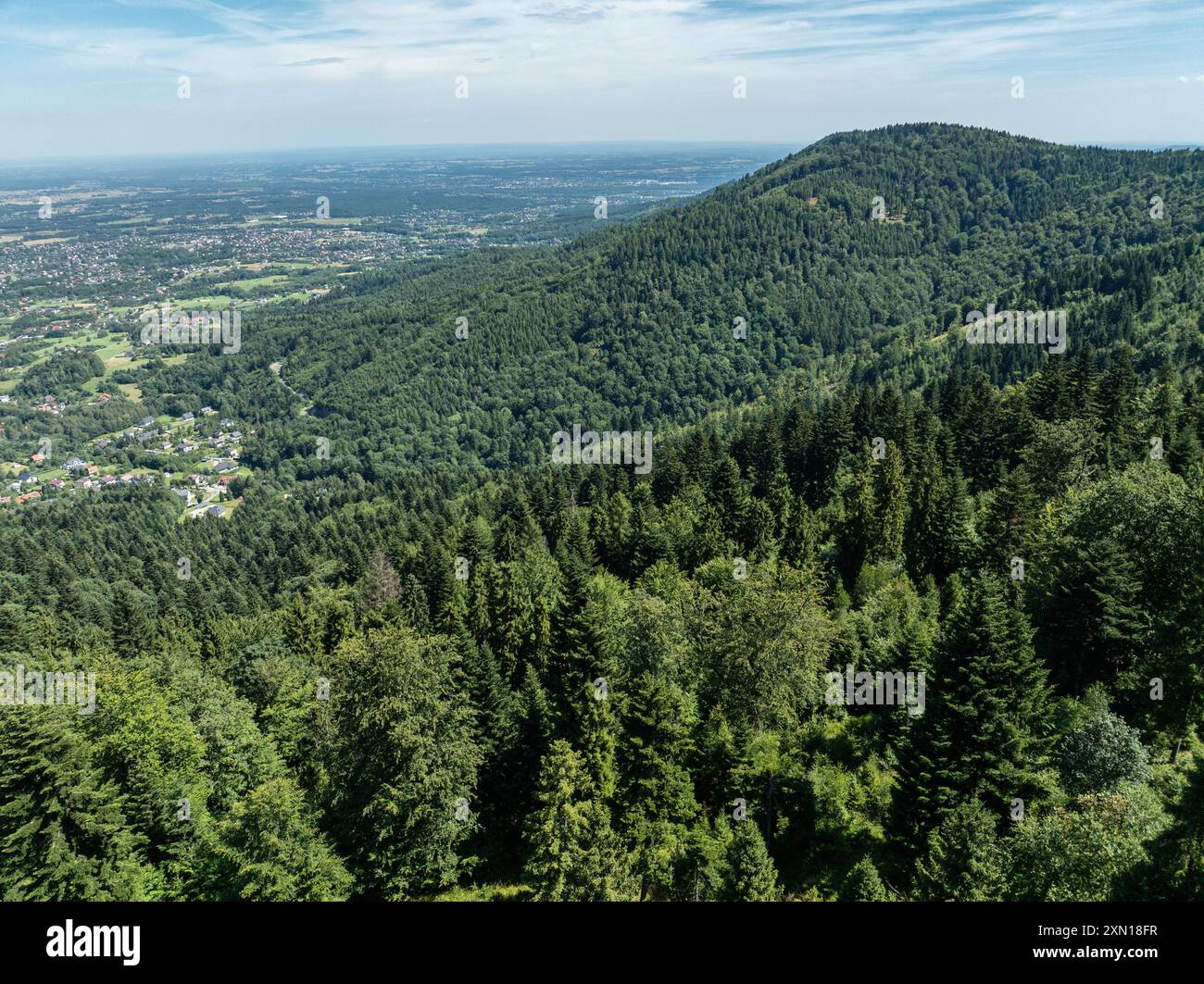 Panorama delle montagne estive di Beskid. Splendida veduta aerea del drone delle foreste verdi estive nelle montagne Beskid, Bielsko Biala e Magurka Wilkowicka. Foto Stock