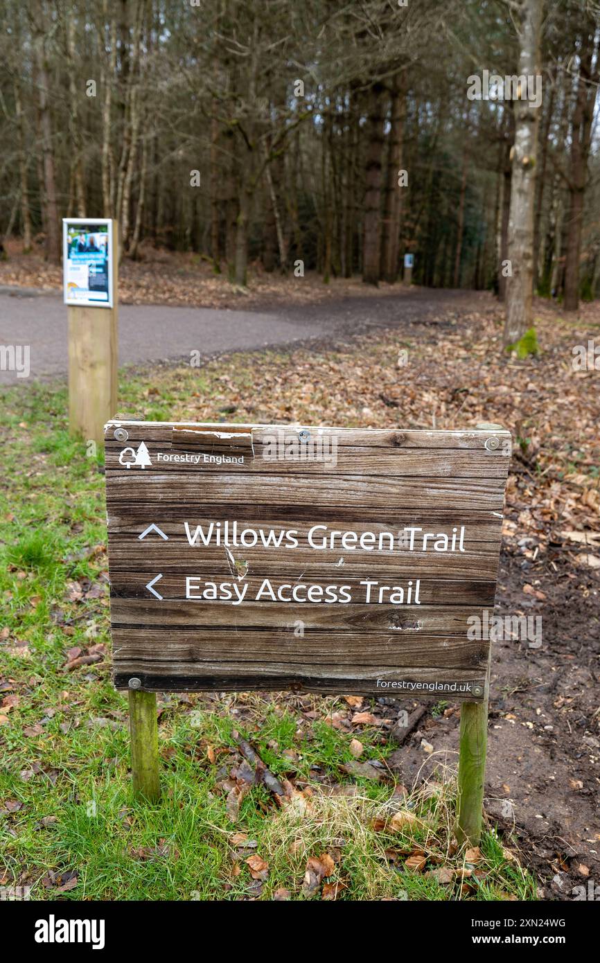 Willows Green Trail, Alice Holt Forest, Farnham Foto Stock