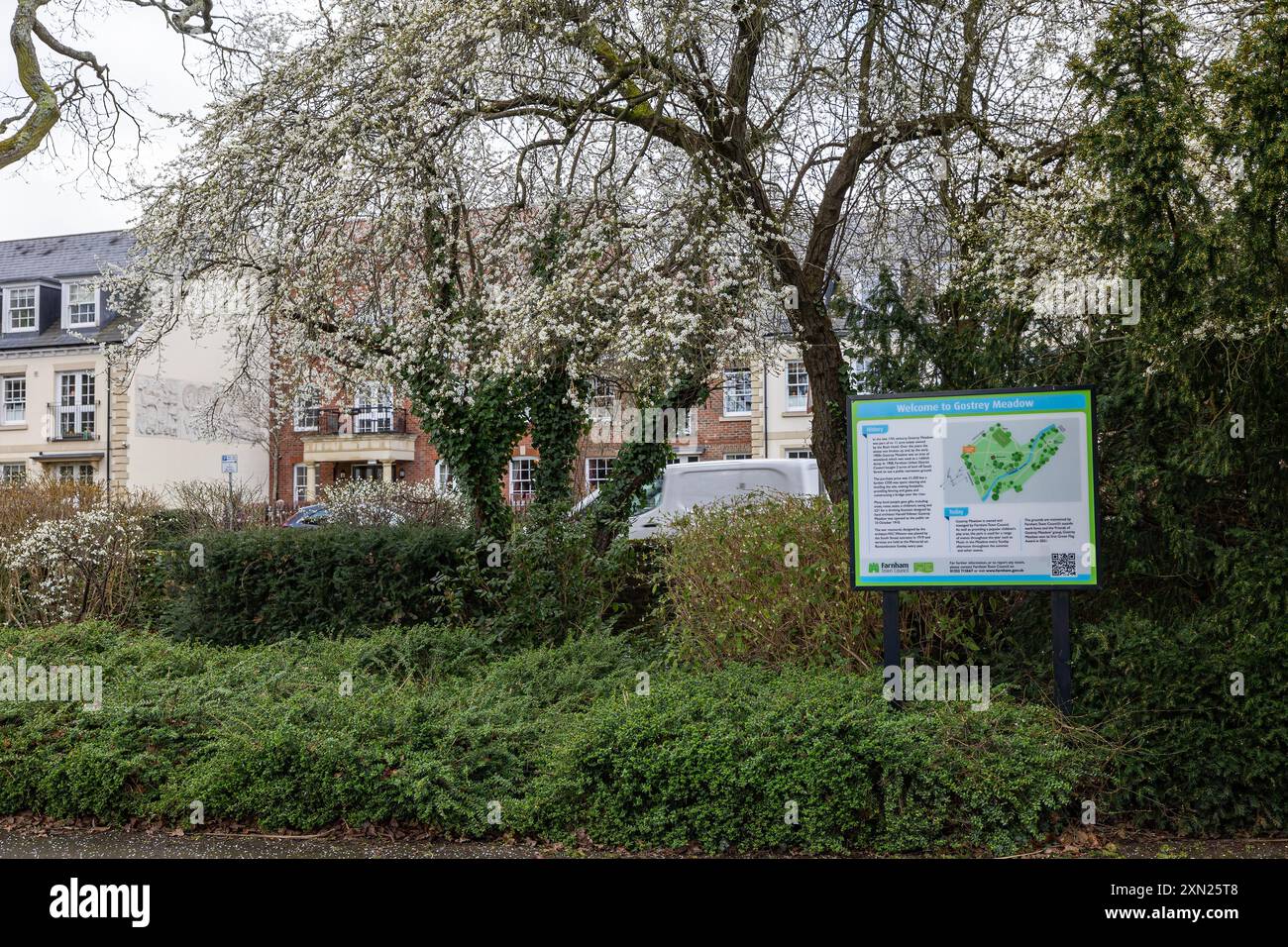Gostrey Meadow, Farnham, Surrey, Inghilterra. Foto Stock