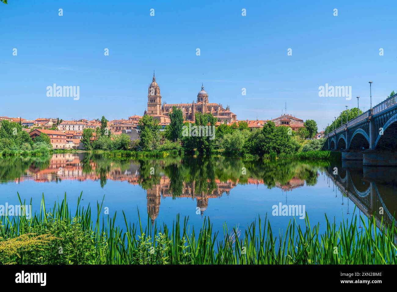 Vista della cattedrale di Salamanca, Spagna, sul fiume Tormes, sulla Castiglia e sulla città storica di León Foto Stock