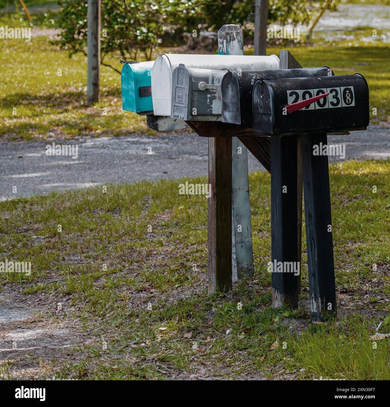 Un'affascinante collezione di cassette postali in diversi colori e stili, che si trova lungo un tranquillo sentiero rurale Foto Stock