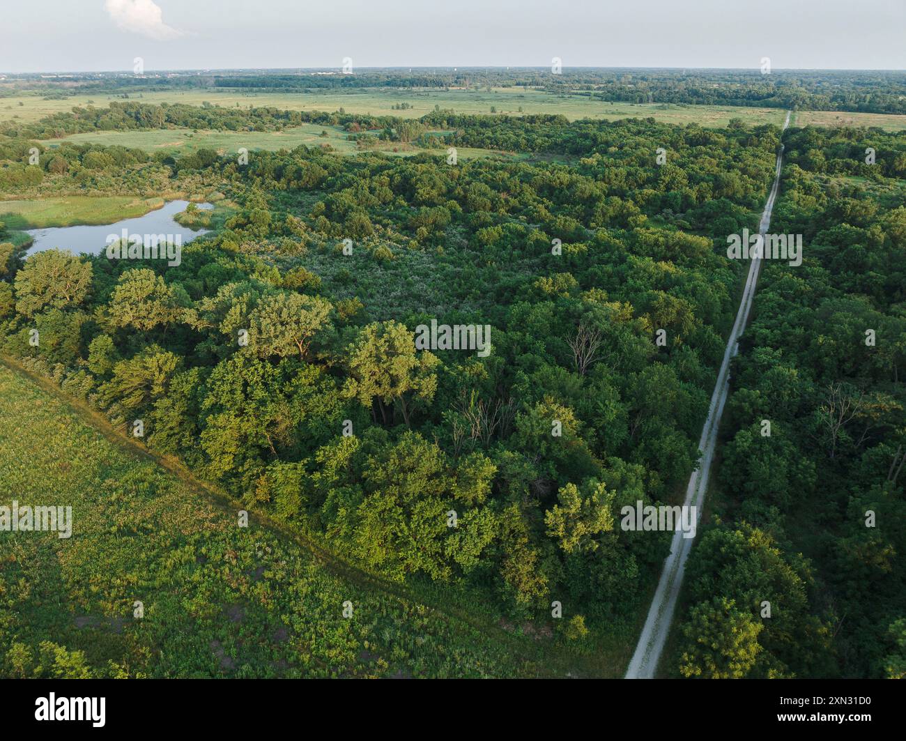 Una strada taglia i boschi a Midewin National Tallgrass Prairie, 60 miglia a sud di Chicago, Illinois Foto Stock