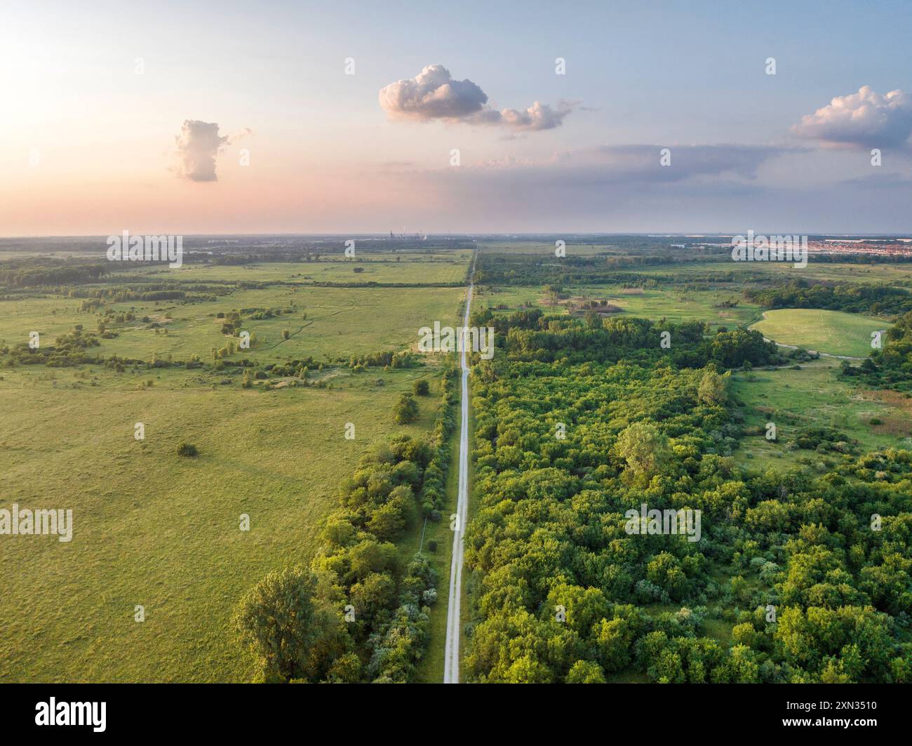 Una strada taglia i boschi a Midewin National Tallgrass Prairie, 60 miglia a sud di Chicago, Illinois Foto Stock