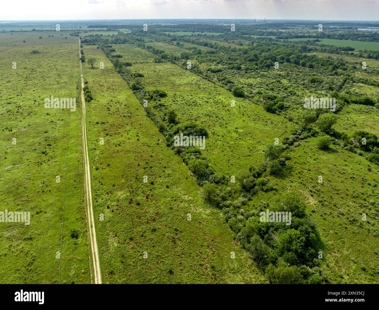 Una strada passa accanto ai bunker di munizioni dell'era della seconda guerra mondiale al Midewin National Tallgrass Prairie in Illinois. Il sito era l'ex arsenale militare di Joliet. Foto Stock