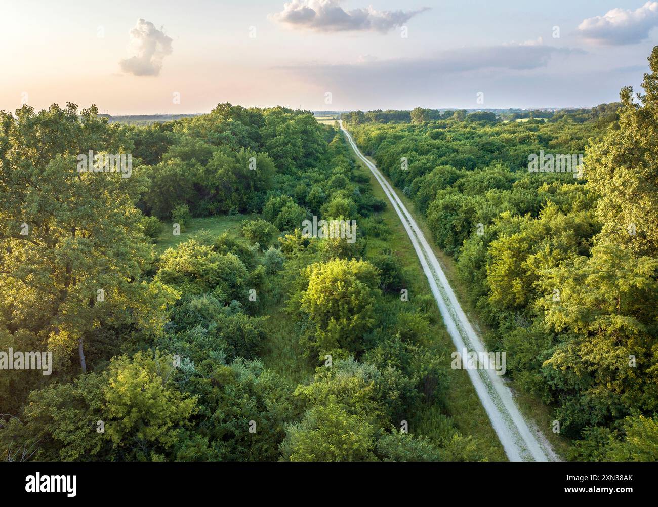 Una strada taglia i boschi a Midewin National Tallgrass Prairie, 60 miglia a sud di Chicago, Illinois Foto Stock