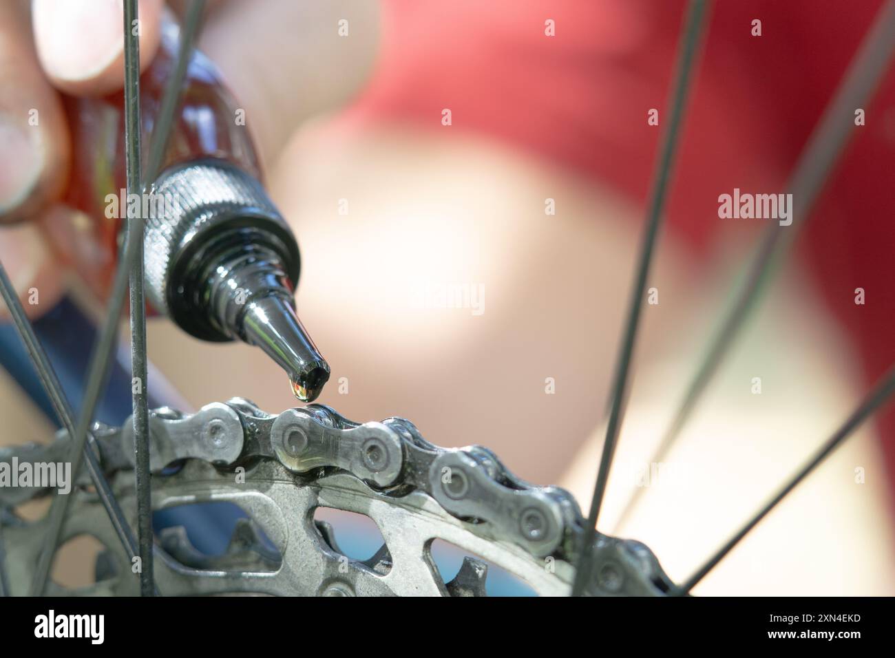 primo piano della mano maschile che mette l'olio sulla catena della bicicletta, lubrifica la catena della bicicletta, lubrifica una catena della bicicletta, manutenzione della bicicletta Foto Stock