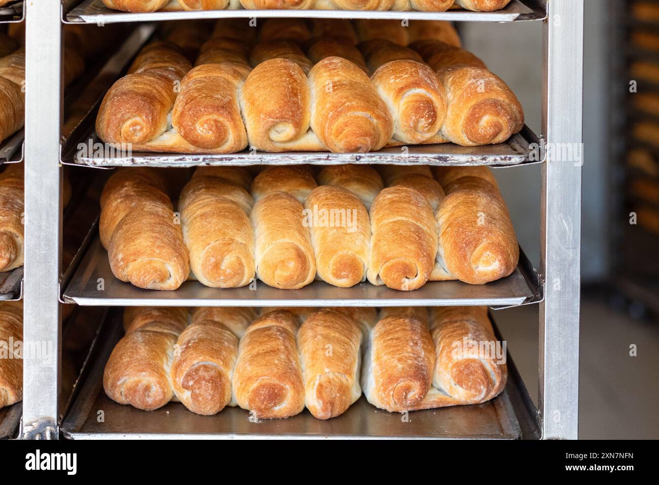 Biscocho, un pane popolare della Pasuquin Bakery di Ilocos Norte, Filippine Foto Stock