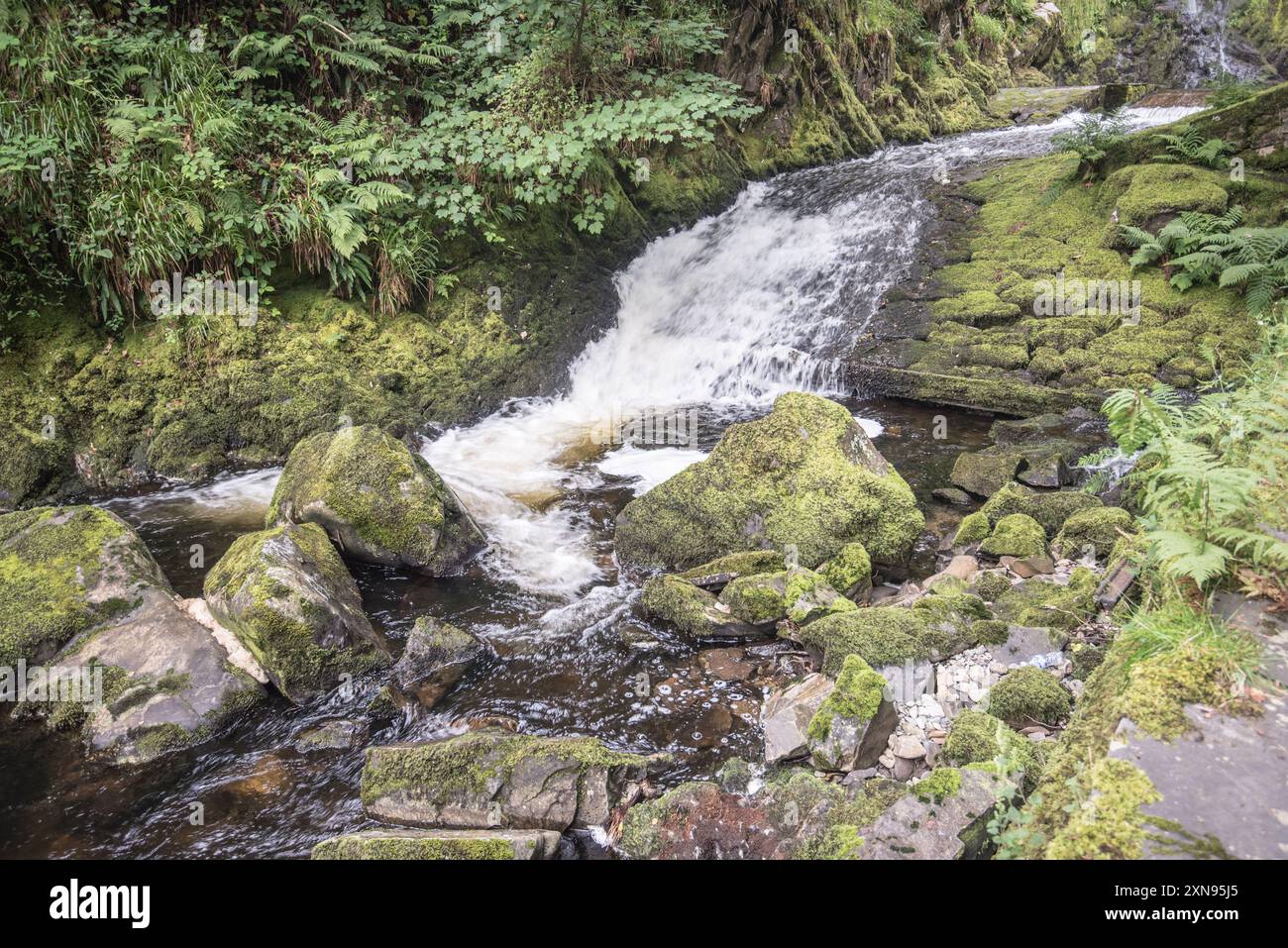 Acqua rotta nella zona lungo il sentiero che porta alla cascata Ceunant Mawr a Llanberis, Gwynedd, Galles del Nord Foto Stock