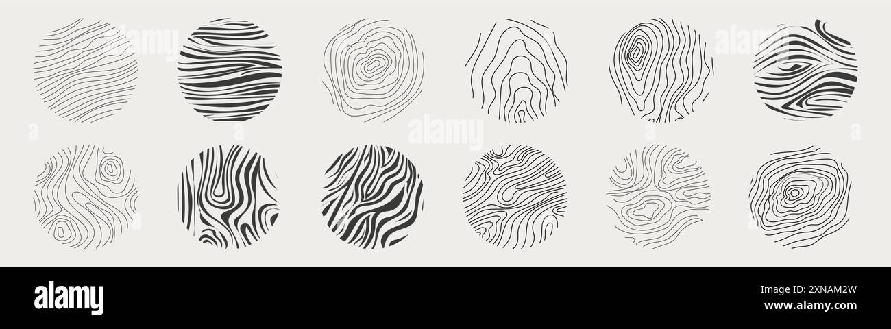 Materiale in legno scarabocchiare linea disegnata a mano. Curva geometrica del tronco d'albero e contorno dell'onda. Anelli e cerchi. . Illustrazione vettoriale Illustrazione Vettoriale