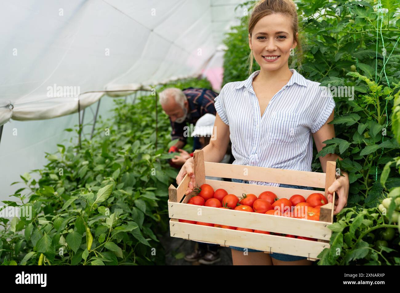 Ritratto di una giovane e felice giardiniera che lavora nell'orto biologico della serra. Foto Stock