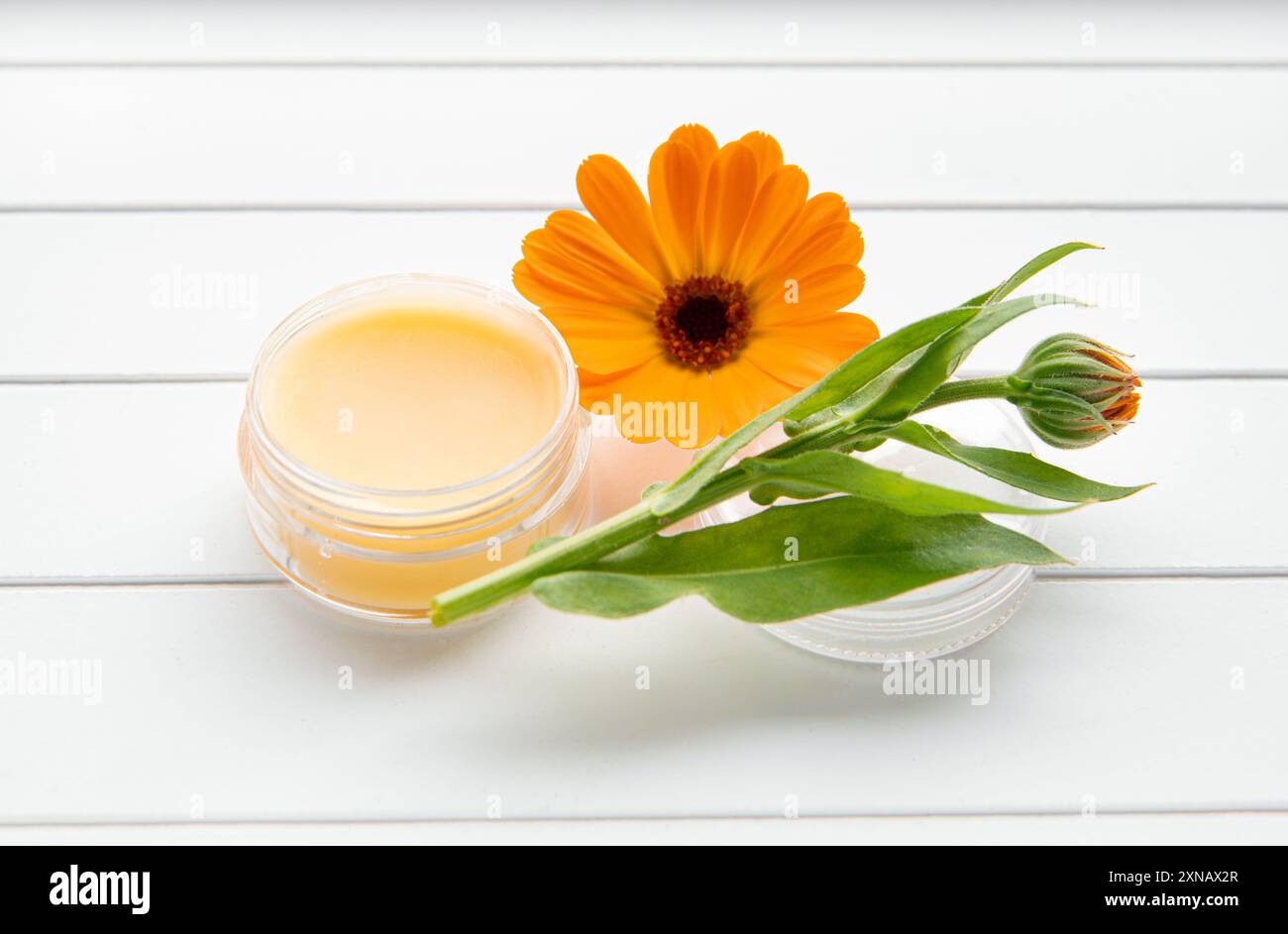 Salve fatta con Calendula officinalis, la calendula, la calendula comune, le coccole, l'oro di Maria o la calendula scozzese. Barattolo con balsamo medicinale su bianco. Foto Stock
