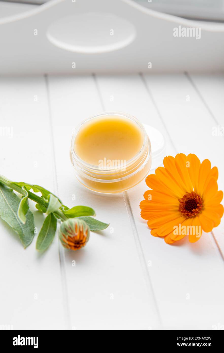 Salve fatta con Calendula officinalis, la calendula, la calendula comune, le coccole, l'oro di Maria o la calendula scozzese. Barattolo con balsamo medicinale su bianco. Foto Stock