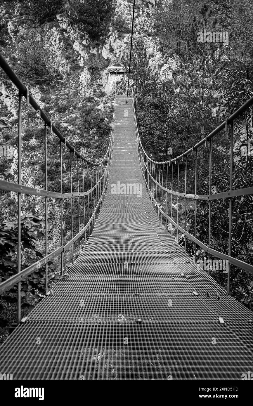 Il ponte tibetano di Roccamandolfi Foto Stock