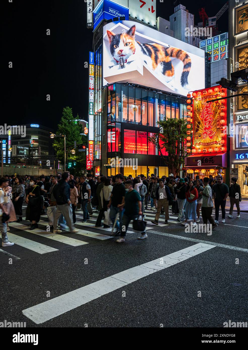 Una folla che attraversa una strada di fronte a un grande cartellone per gatti Foto Stock