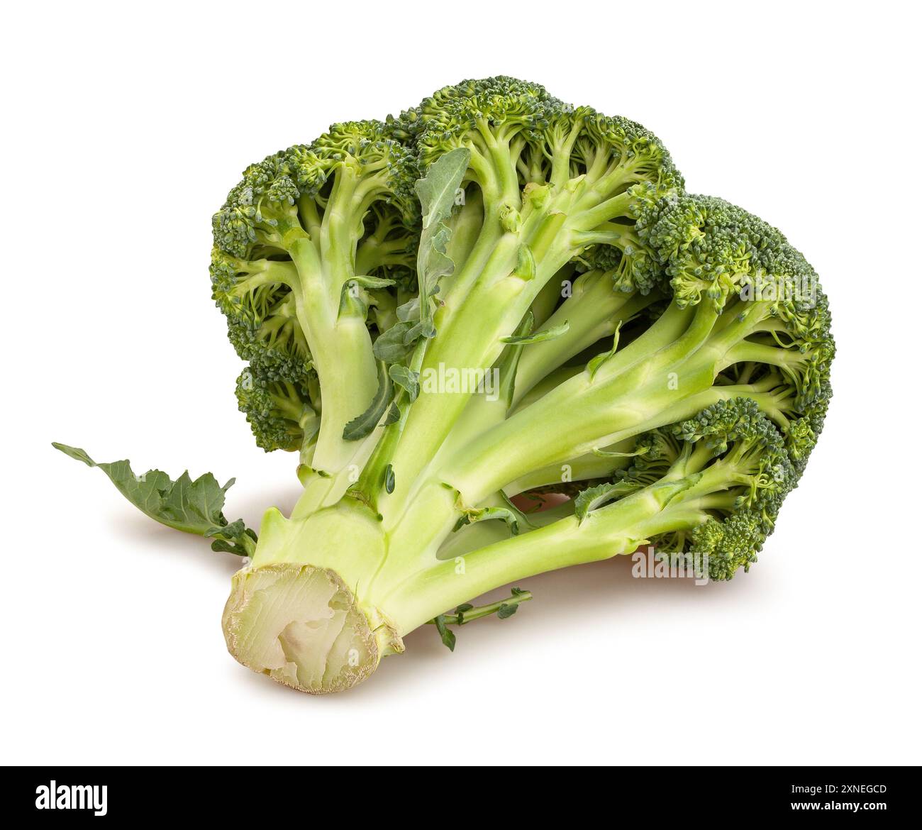 percorso dei broccoli isolato su bianco Foto Stock