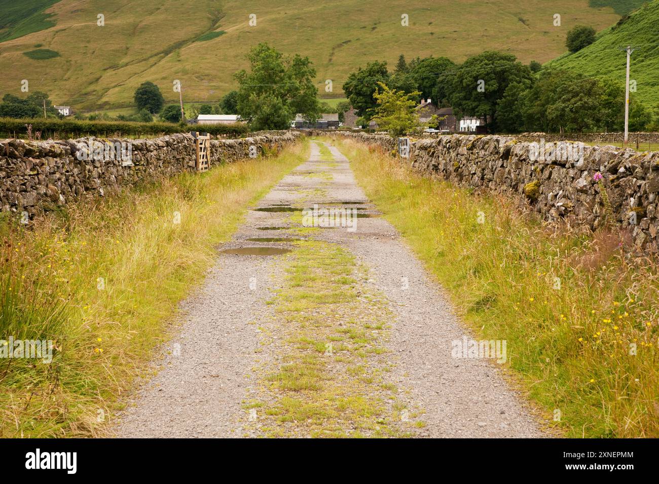 Percorso murato nel Lake District settentrionale che conduce al villaggio di Mosedale, Regno Unito Foto Stock
