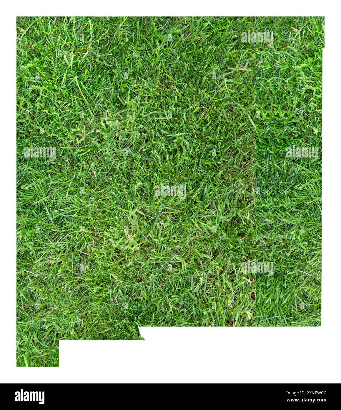 Mappa simbolo dello Stato del nuovo Messico (Stati Uniti d'America) che mostra il territorio dello stato come campo da calcio su prato Foto Stock