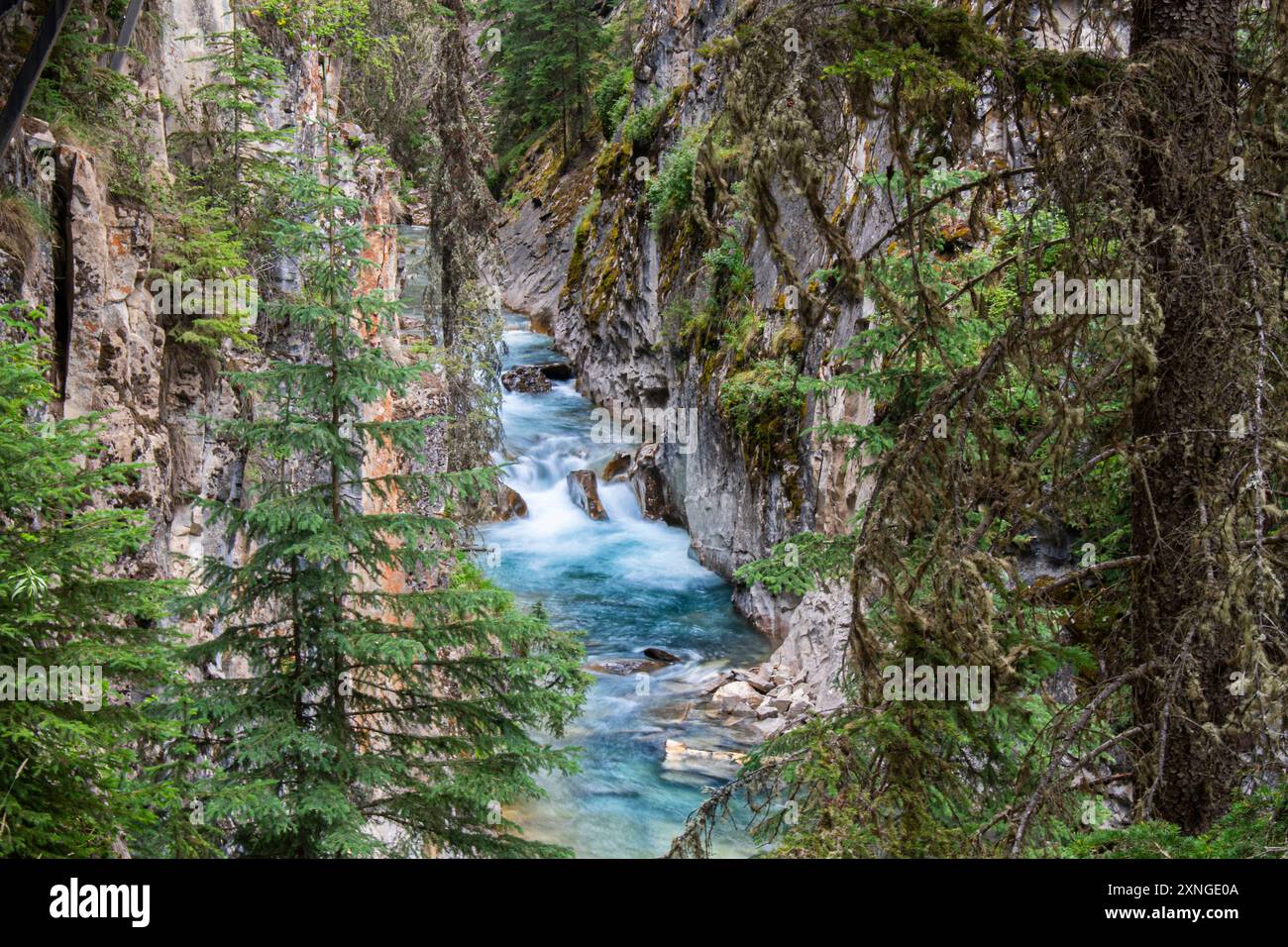 Le rapide si muovono attraverso Johnston Canyon Foto Stock