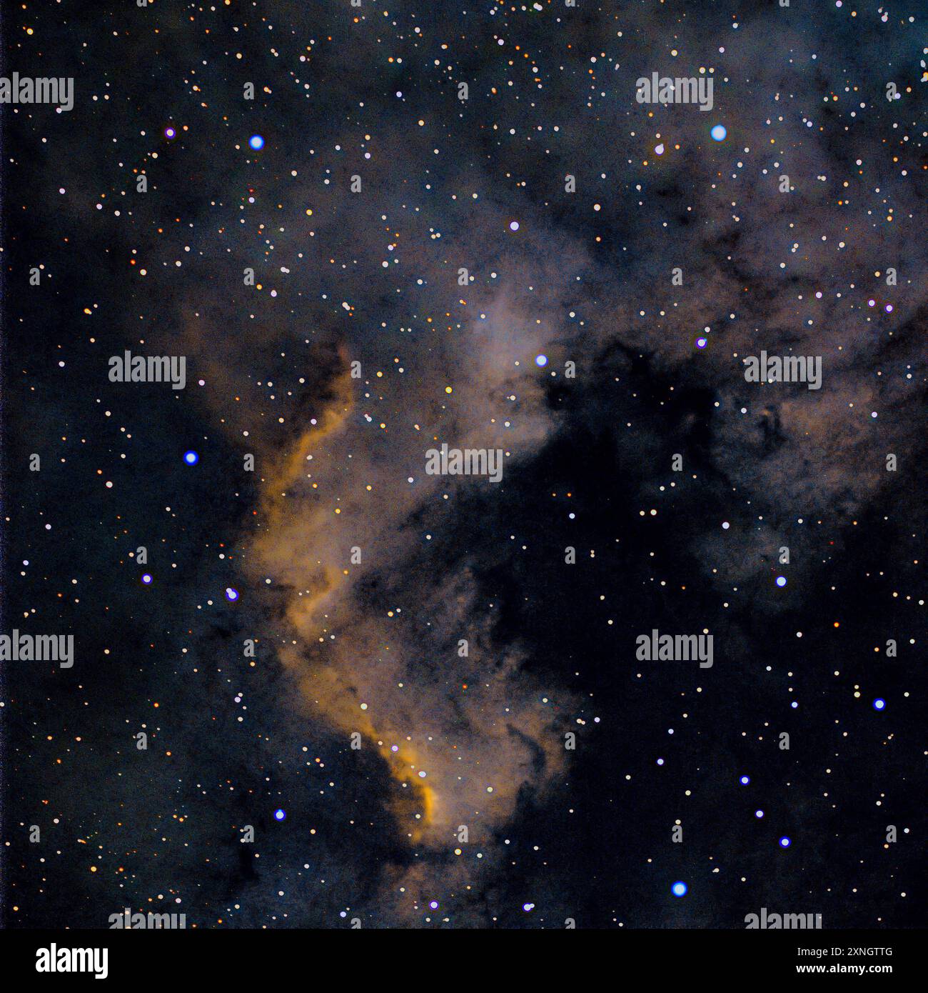Nordamerikanebel auch NGC 7000 genannt ist die Bezeichnung eines diffusen Gasnebels im Sternbild Schwan am Nordsternhimmel. Seinen Namen erhielt der Nebel aufgrund Seiner Form, Die an eine Landkarte des nordamerikanischen Kontinents erinnert. AM Himmel ist der Nebel mit 120 mal 100 Bogenminuten sehr ausgedehnt der Vollmond Hat einen Durchmesser von ca. 30 . Er ist relativ einfach zu finden, da er sich etwas östlich des hellen Sterns Deneb Î Cygni im Schwan befindet. Der Gasnebel ist zwischen 2,000 und 3,000 Lichtjahre entfernt Seine genaue Entfernung ist nur schwer zu bestimmen und besteht übe Foto Stock