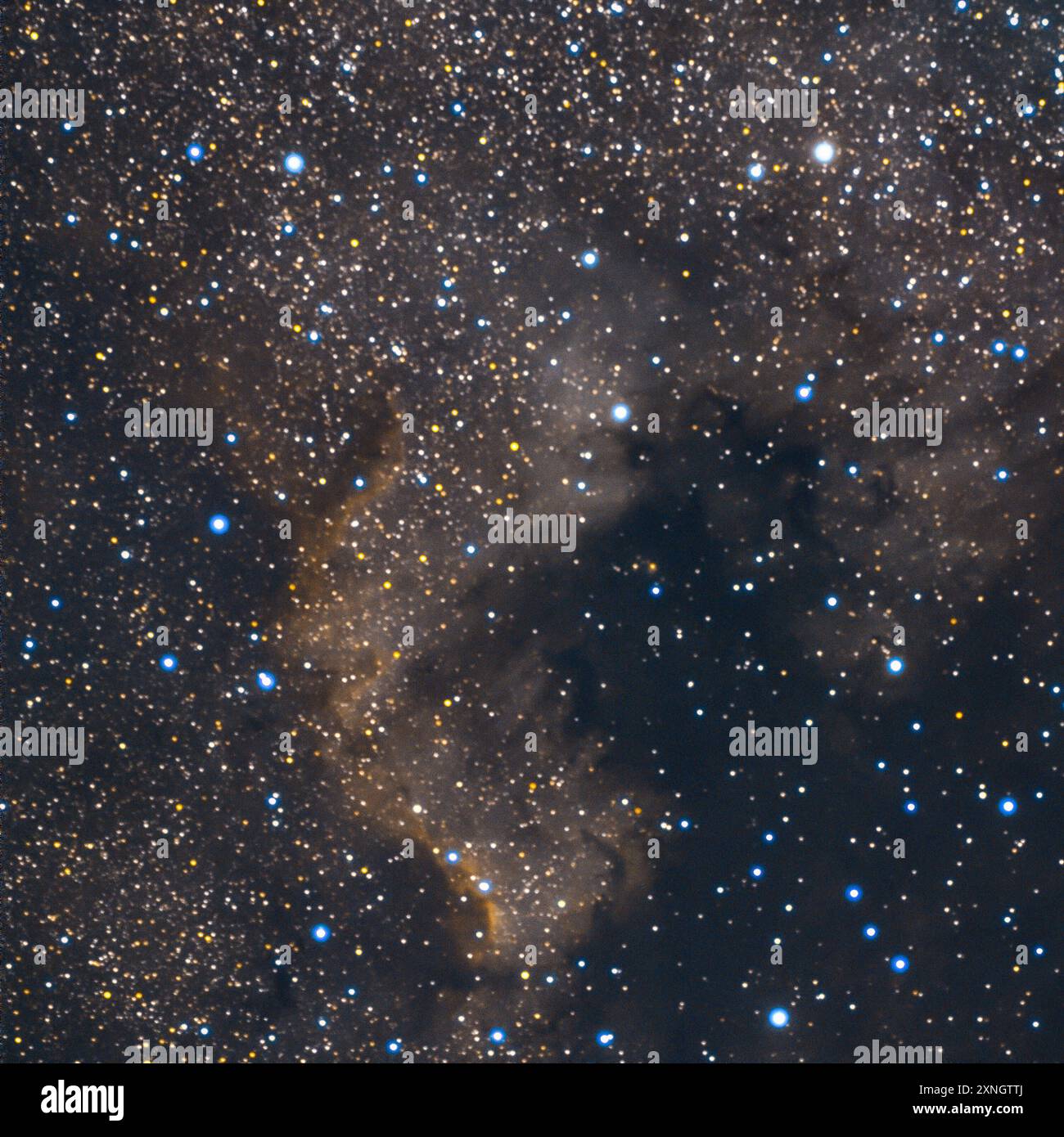 Nordamerikanebel auch NGC 7000 genannt ist die Bezeichnung eines diffusen Gasnebels im Sternbild Schwan am Nordsternhimmel. Seinen Namen erhielt der Nebel aufgrund Seiner Form, Die an eine Landkarte des nordamerikanischen Kontinents erinnert. AM Himmel ist der Nebel mit 120 mal 100 Bogenminuten sehr ausgedehnt der Vollmond Hat einen Durchmesser von ca. 30 . Er ist relativ einfach zu finden, da er sich etwas östlich des hellen Sterns Deneb Î Cygni im Schwan befindet. Der Gasnebel ist zwischen 2,000 und 3,000 Lichtjahre entfernt Seine genaue Entfernung ist nur schwer zu bestimmen und besteht übe Foto Stock