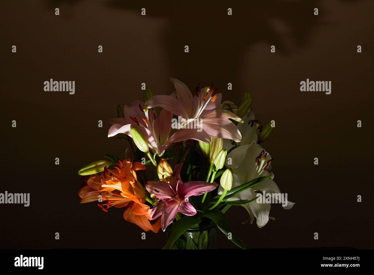 Gigli che si nascondono nell'oscurità della fotografia, gigli su sfondo nero, gigli nell'ombra!!! Foto Stock