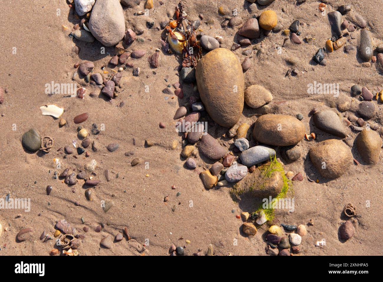 Pietre, ciottoli e piccole rocce sulla spiaggia sabbiosa di Cove, sulla costa orientale della Scozia. Foto Stock