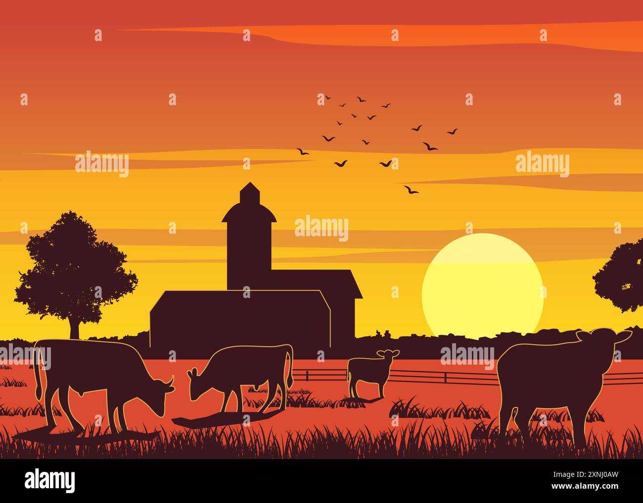 Design della silhouette della fattoria mentre le mucche mangiano l'erba all'ora del tramonto, illustrazione vettoriale Illustrazione Vettoriale