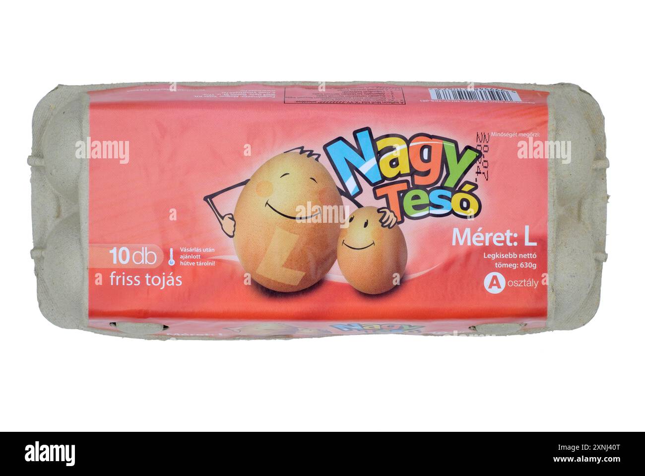 scatola ungherese chiusa di dieci grandi uova tagliate su sfondo bianco Foto Stock