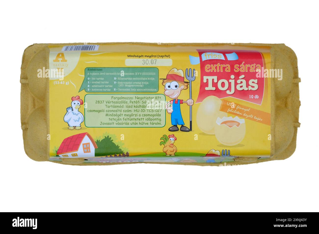scatola ungherese chiusa di dieci uova medie tagliate su sfondo bianco Foto Stock