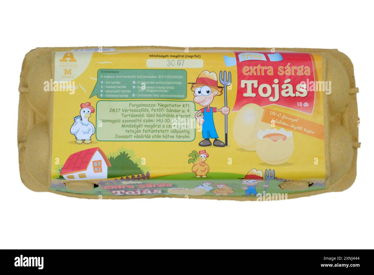 scatola ungherese chiusa di dieci uova medie tagliate su sfondo bianco Foto Stock