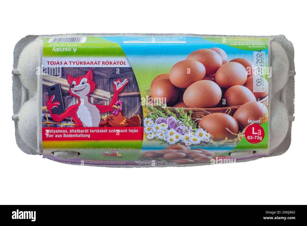 scatola ungherese chiusa di dieci grandi uova tagliate su sfondo bianco Foto Stock