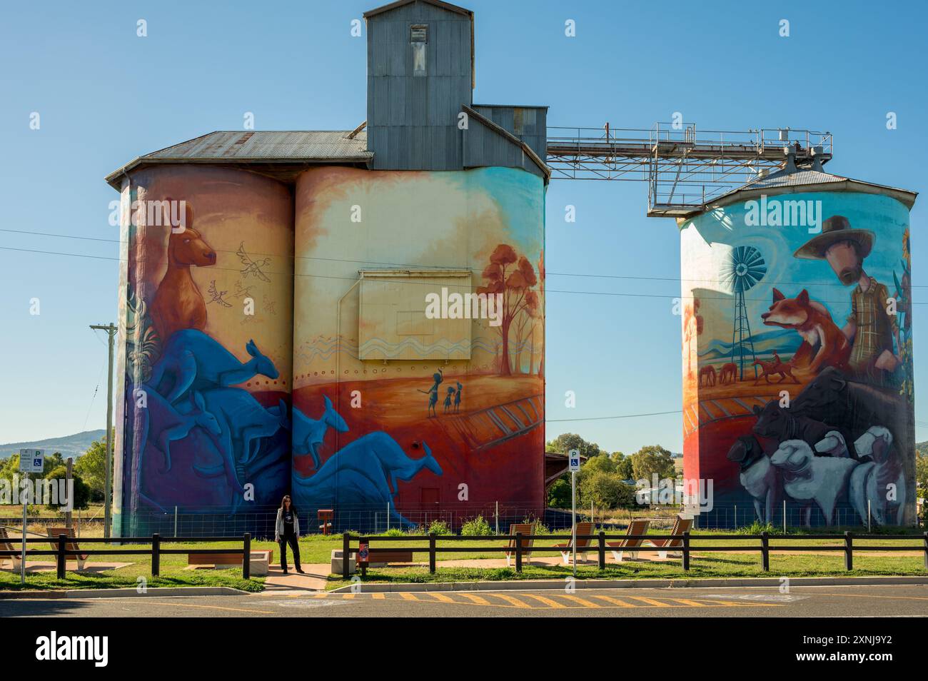 La vista sulla strada principale dei murales artistici silo divertenti e istruttivi della cultura e del patrimonio agricolo unici della città di Quirindi. Foto Stock