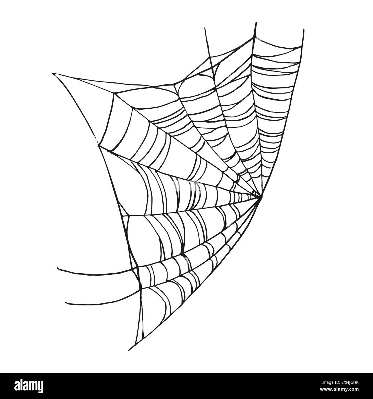 ragnatela, elemento decorativo tradizionale disegnato a mano per Halloween, illustrazione vettoriale in bianco e nero di ragnatela, insetti selvaggi su sfondo bianco Illustrazione Vettoriale