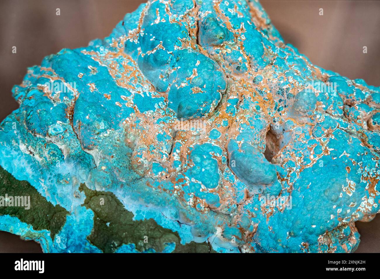 Chrysocolla con campione minerale di malachite, Museo geologico, Varsavia, Polonia Foto Stock