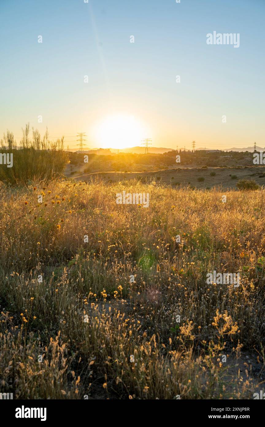 Natura e industria: Un delicato equilibrio tra natura e sviluppo umano. Foto Stock