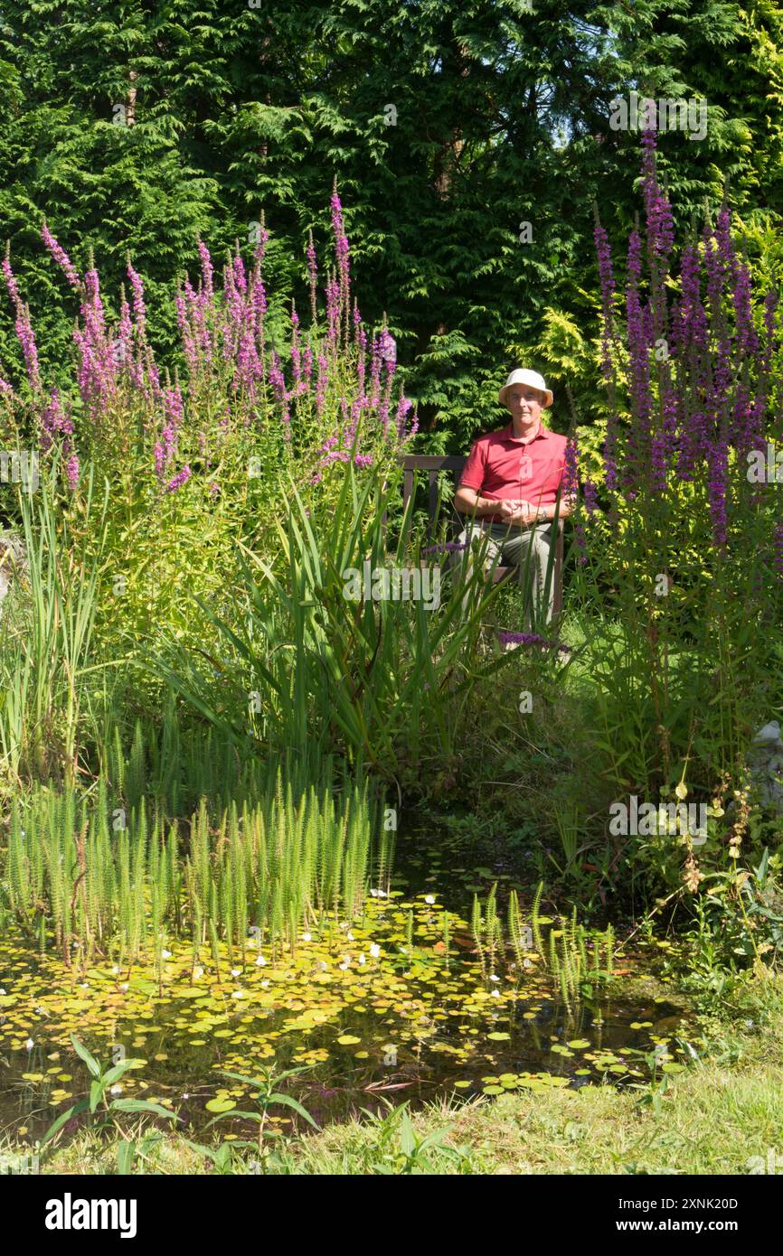 anziano pensionato seduto su una panchina nel suo giardino, guardando tranquillamente il suo laghetto con piante come il suo interessante progetto di hobby Foto Stock