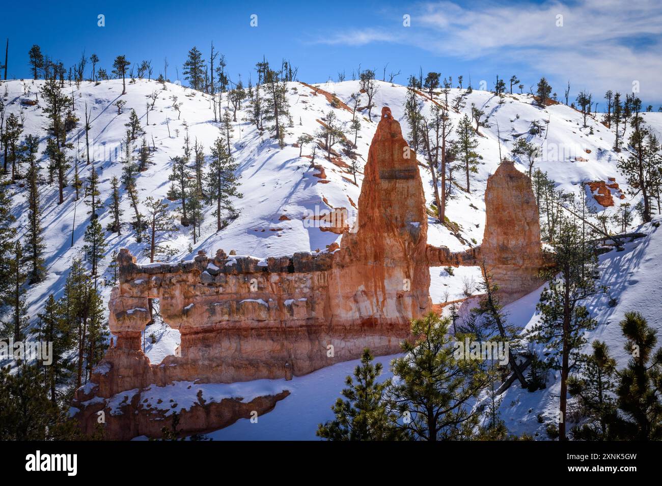 Splendido paesaggio invernale con l'iconica formazione rocciosa del Tower Bridge da vicino nel Bryce Canyon National Park, Utah. Scogliere innevate. Foto Stock