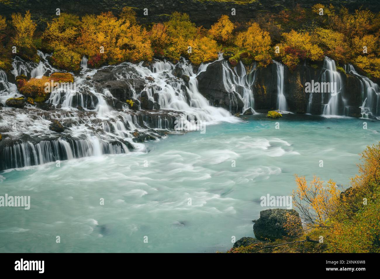 Vista autunnale della splendida cascata Hraunfossar in Islanda, con ruscelli che scorrono nel fiume, foglie colorate e vegetazione lussureggiante Foto Stock