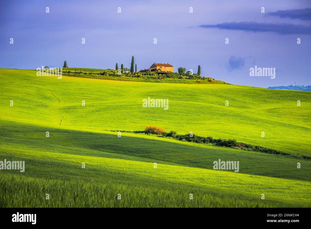 Val d'Orcia, Italia. Paesaggio toscano, pittoresco mix di colline ondulate, vigneti, oliveti, borghi medievali, fascino di campagna. Foto Stock