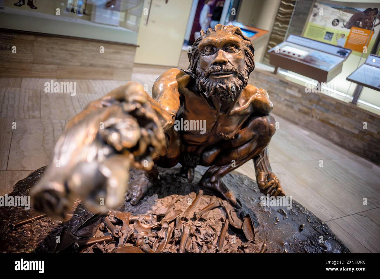 Homo Heidelbergensis Statue Smithsonian Museum Washington DC // WASHINGTON DC — Una statua che rappresenta Homo heidelbergensis in mostra allo Smithsonian National Museum of Natural History. Questa ricostruzione raffigura un'importante specie di antenati umani vissuta tra 700.000 e 200.000 anni fa. La mostra fa parte della David H. Koch Hall of Human Origins, che esplora l'evoluzione umana attraverso varie esposizioni e manufatti. Foto Stock