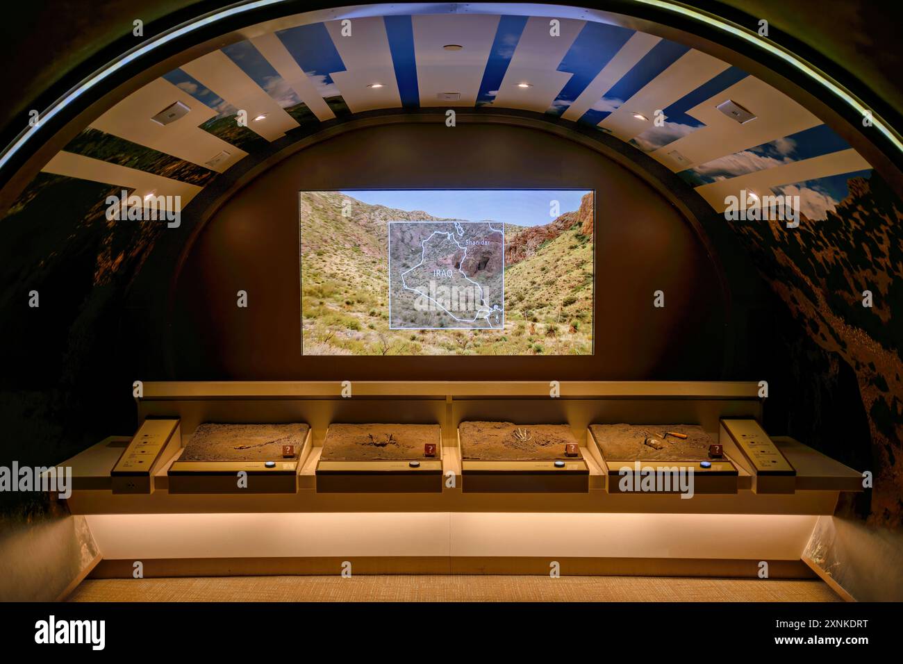 Smithsonian National Museum of Natural History Human Origins Exhibit Washington DC // WASHINGTON DC - la stazione archeologica delle origini umane presso lo Smithsonian National Museum of Natural History di Washington DC. Questa mostra interattiva consente ai visitatori di sperimentare tecniche archeologiche e conoscere l'evoluzione umana attraverso attività pratiche. La stazione fa parte della David H. Koch Hall of Human Origins, dedicata allo studio delle origini e dell'evoluzione umana. Foto Stock