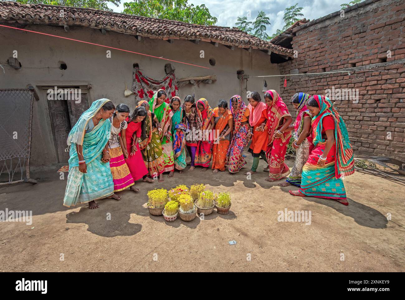 Le donne in vivaci Sari celebrano il festival del Karam nell'India rurale, ballando intorno a cesti pieni di piante come parte dei rituali tradizionali. Foto Stock