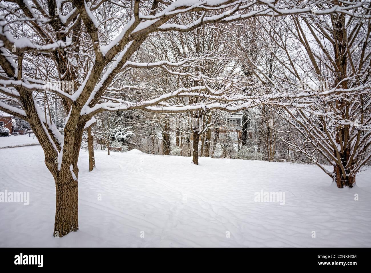 ARLINGTON, Virginia, Stati Uniti - Una scena invernale innevata nel Rock Spring Park cattura la serena bellezza di Arlington, Virginia. Il parco, coperto di neve, mette in mostra il tranquillo e pittoresco paesaggio invernale, invitando i visitatori a praticare attività all'aperto e la bellezza naturale della stagione. Foto Stock