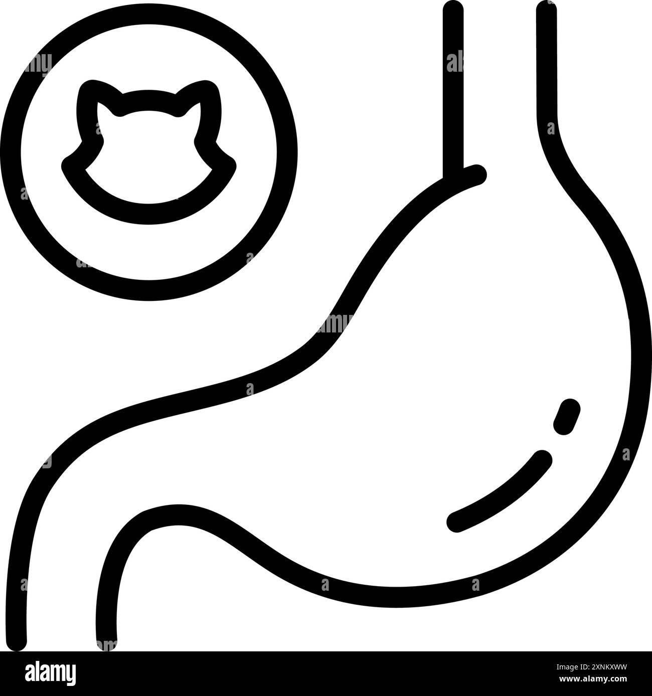 Clinica veterinaria, diagnostica e trattamento gatto apparato digerente. Supplemento vitamine per digestione e stomaco per animali domestici. Icone vettoriali di contorno semplici Illustrazione Vettoriale