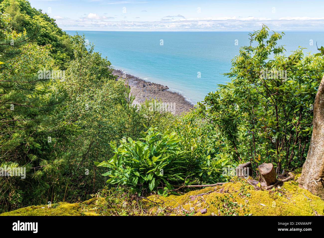 Guardando in basso su First Rocks, nel Canale di Bristol vicino a Gore Point, dal sentiero della costa sud-occidentale nr Porlock Weir sull'Exmoor National Park, Somerset Foto Stock