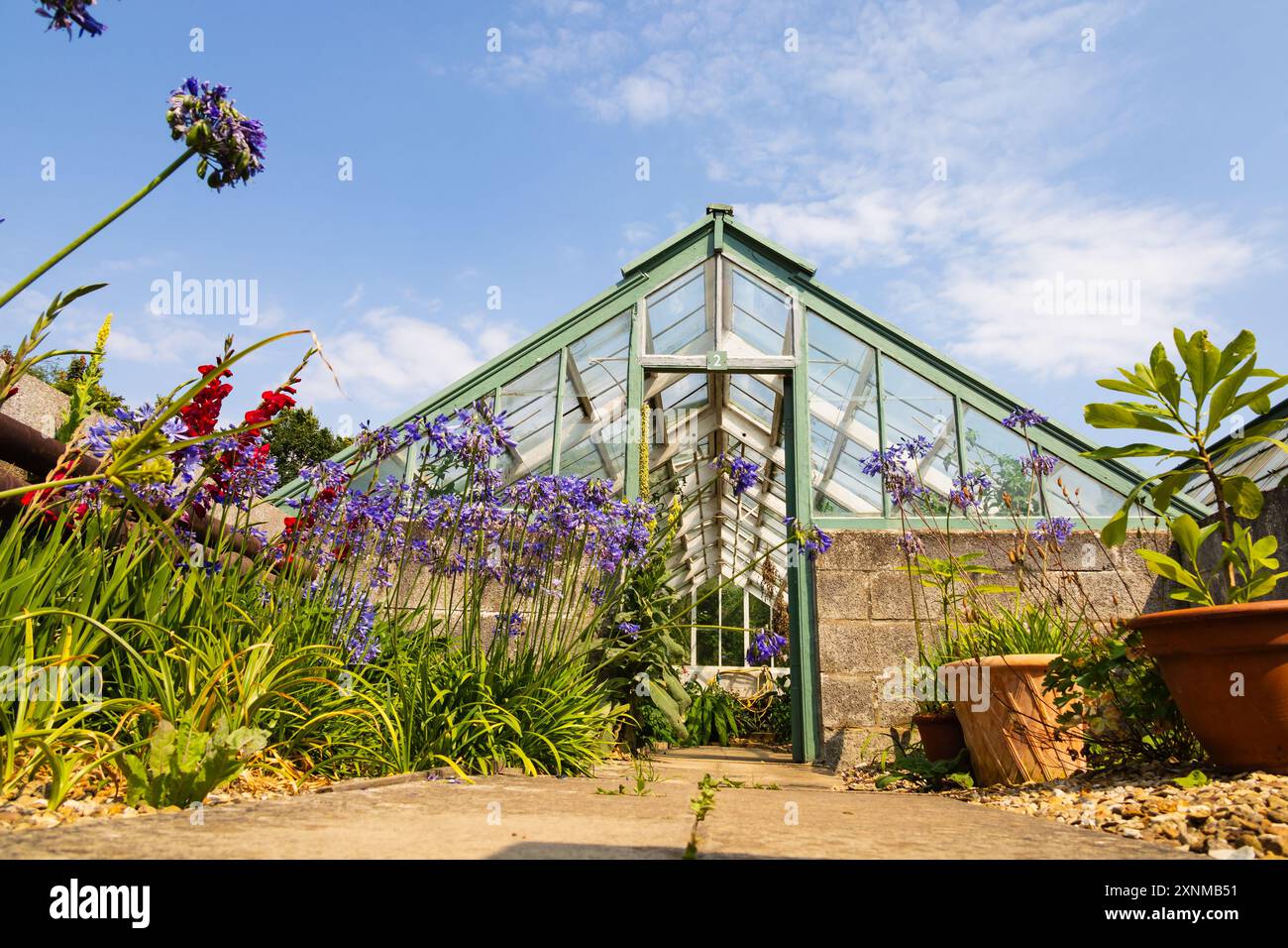 Greenhouse NO2 con fiori in vasi esterni. Easton Walled Gardens Estate, Lincolnshire, Inghilterra Foto Stock