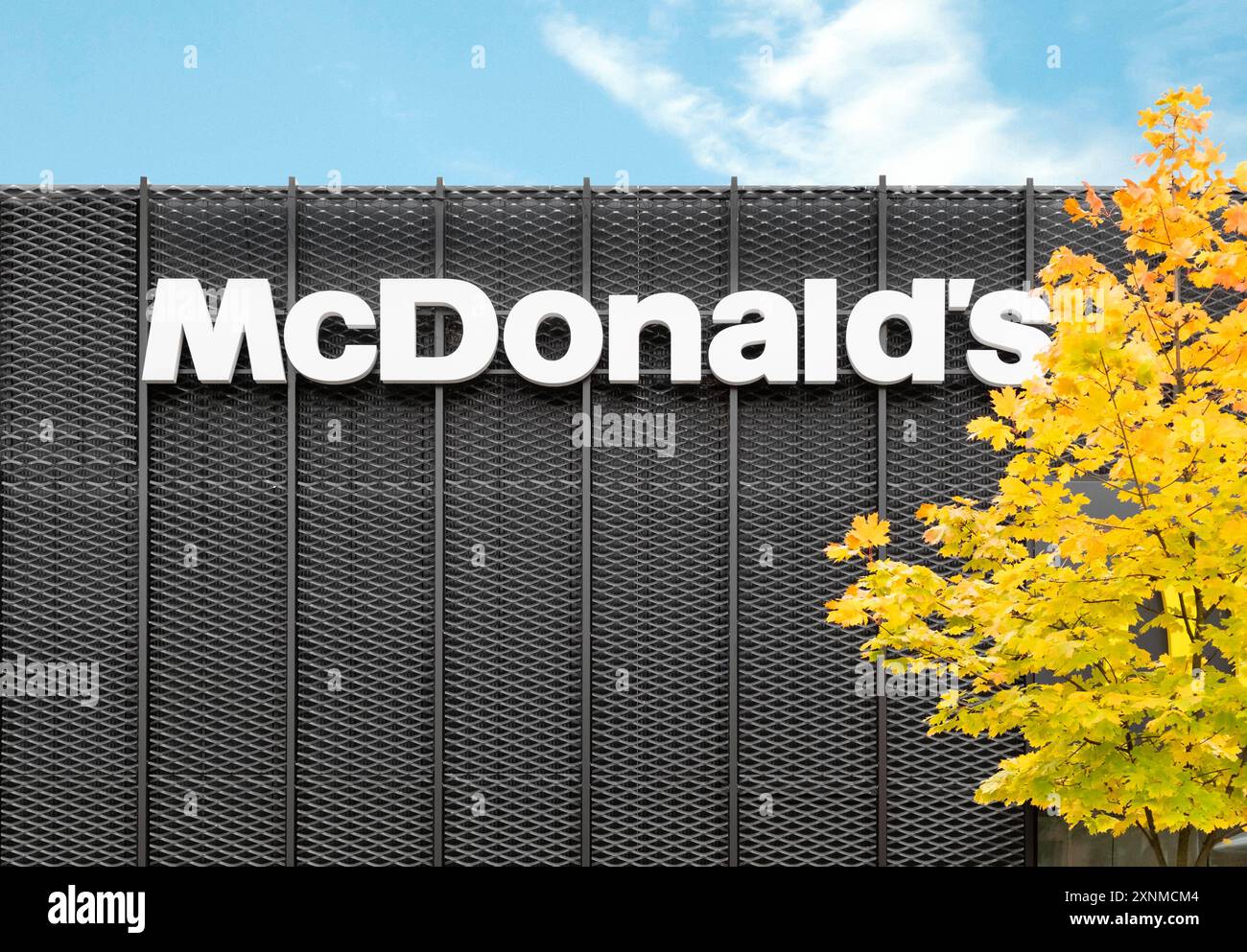 Il logo del ristorante McDonalds sul muro di costruzione in metallo con un albero d'acero giallo in autunno Foto Stock