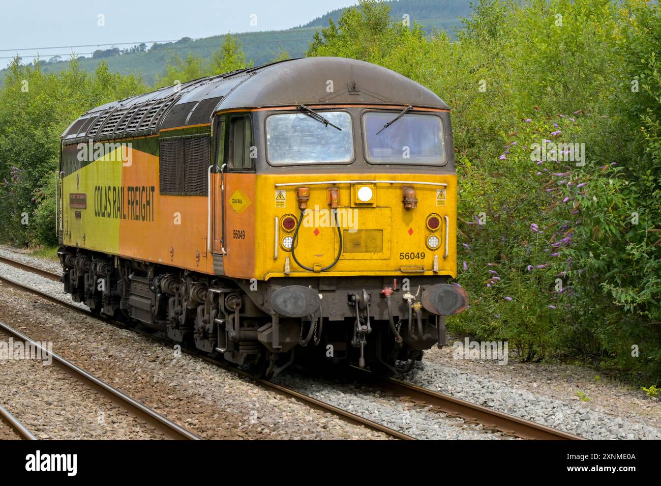 Pontyclun, Galles, Regno Unito. - 31 luglio 2024: Locomotiva diesel di classe 56 gestita dalla Colas Rail Freight che opera da sola senza autocarri nei pressi di Pontyclun nel sud Foto Stock