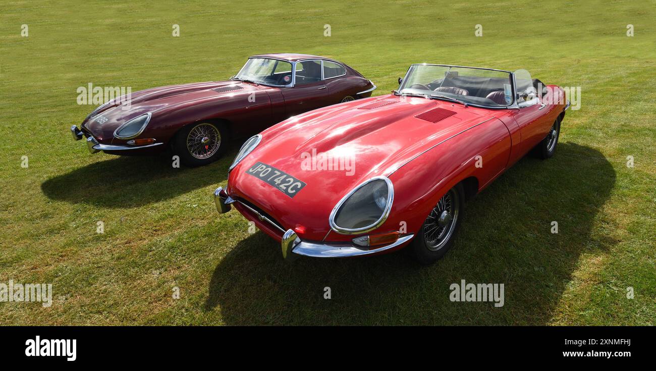 Due Jaguar Classic e-TYPE parcheggiate sull'erba Foto Stock